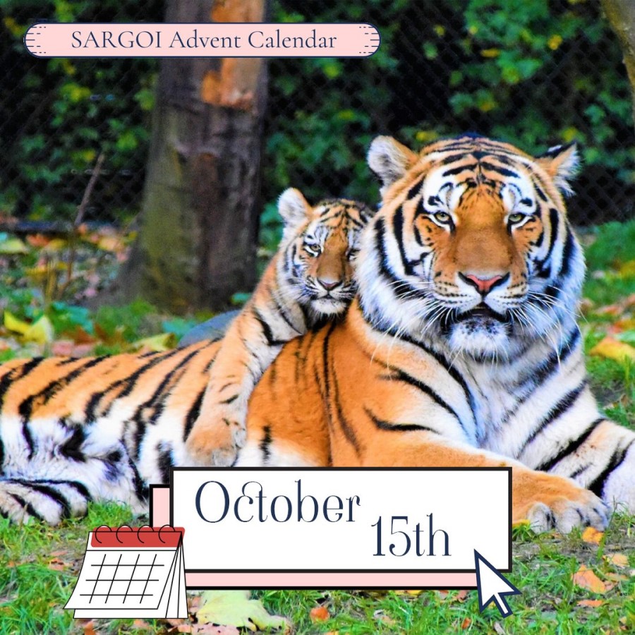 Tiger Day